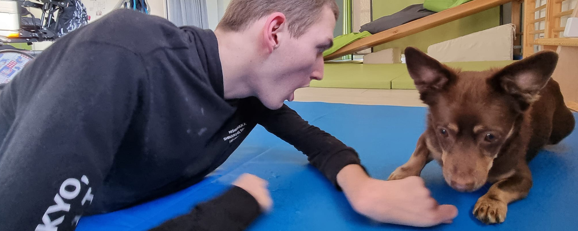 therapiebegleithunde 21 Therapiebegleithunde Ausbildung