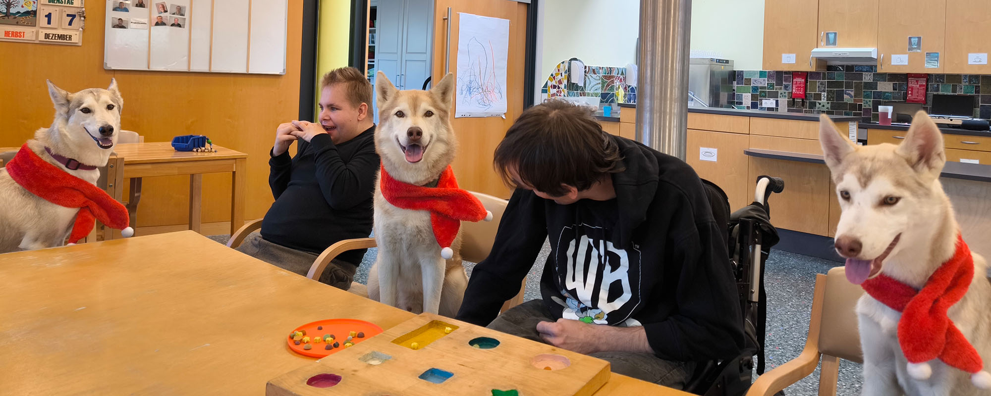 Therapiebegleithunde Ausbildung Vorarlberg