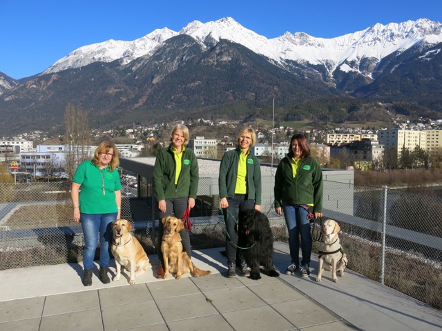 Stressabbau durch Hunde-Besuche