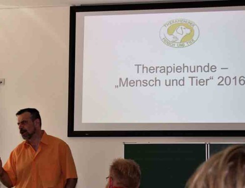 Theorie-Ausbildung Therapiebegleithund