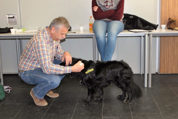 Therapiehunde Mensch & Tier